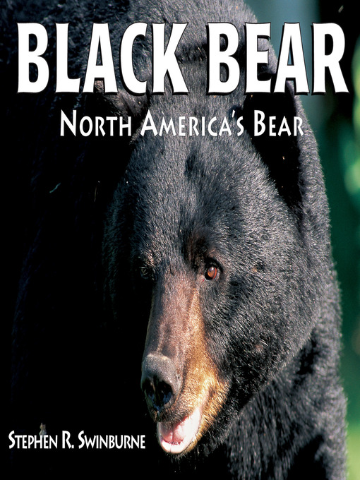 Title details for Black Bear by Stephen R. Swinburne - Available